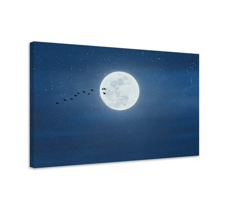 Quadro 3D Lua cheia e céu - TenStickers