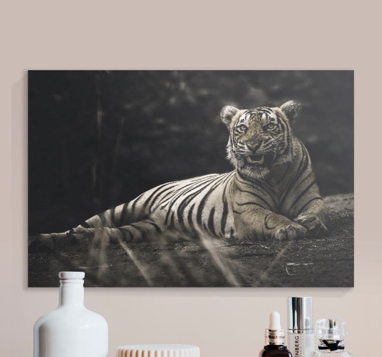 Quadro animais tigre majestoso repousando - TenStickers