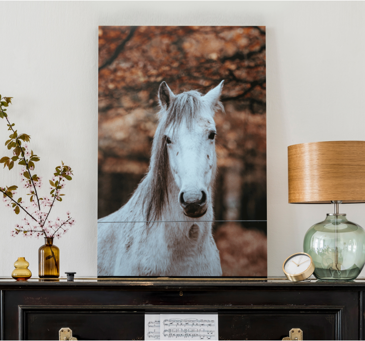 Quadro Decorativo de cavalos animal branco majestoso - TenStickers