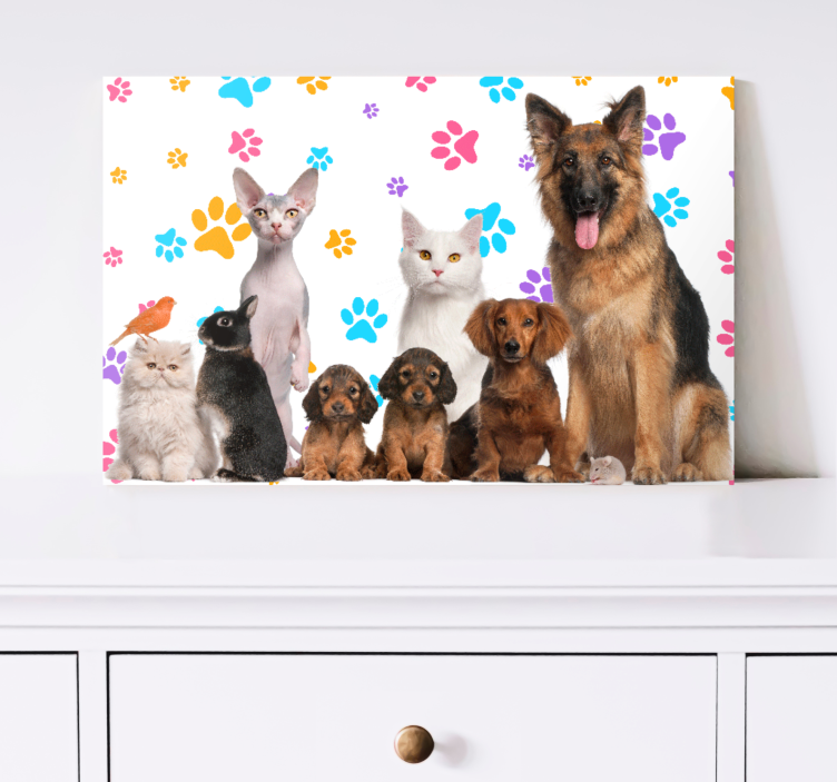 Quadro animais Cachorros e gatos - TenStickers