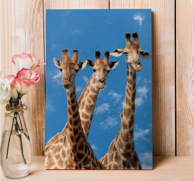 Quadro animais retrato de trio de girafas - TenStickers