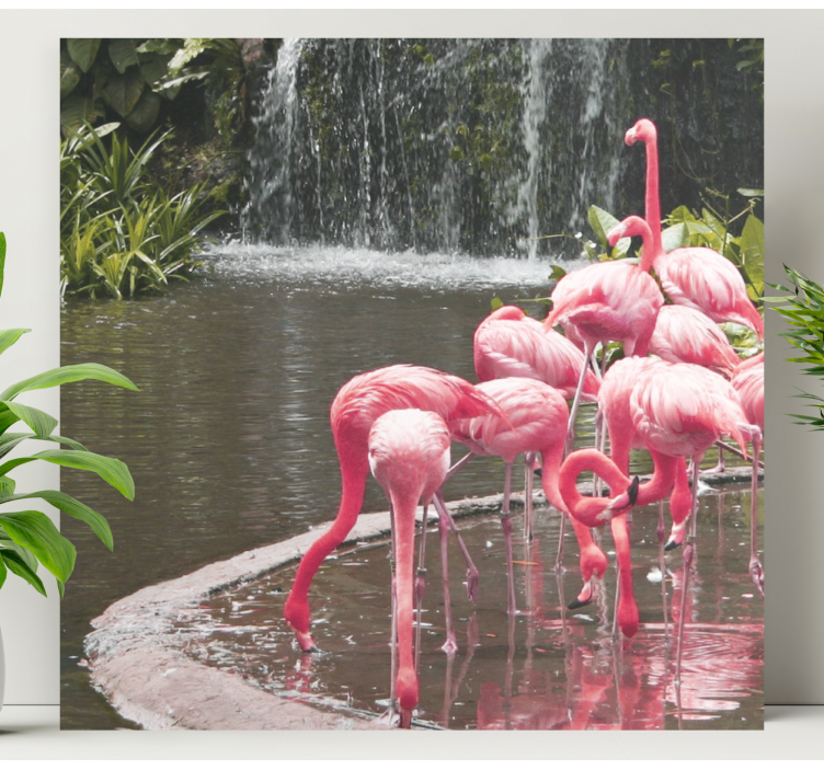 Quadro de cães flamingos na piscina - TenStickers