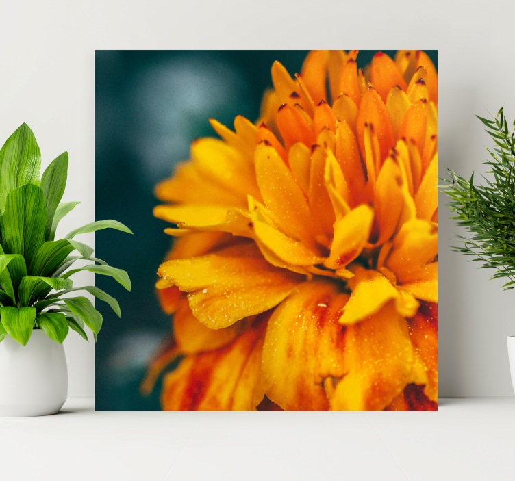 Quadro de flores flor de laranja vibrante - TenStickers