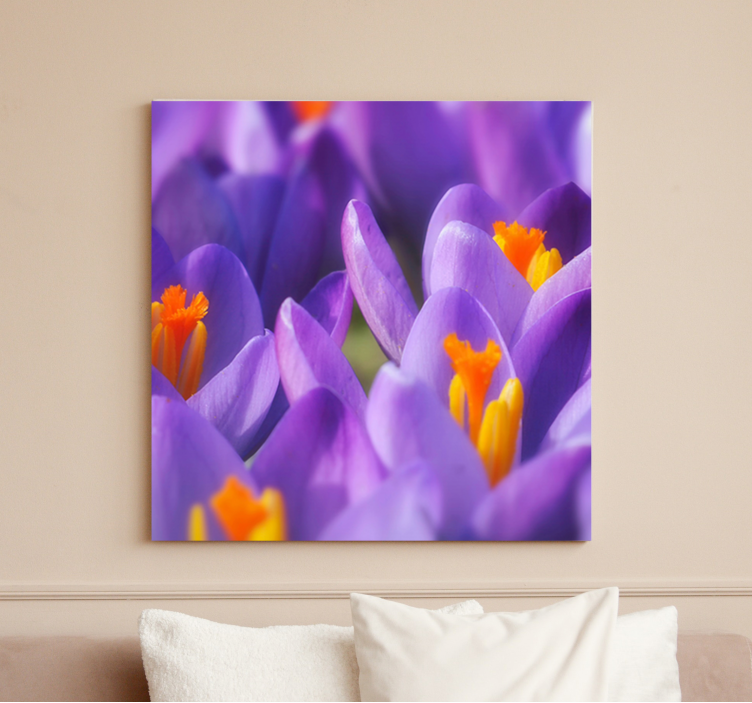 Quadro de flores flores de crocus vibrantes - TenStickers