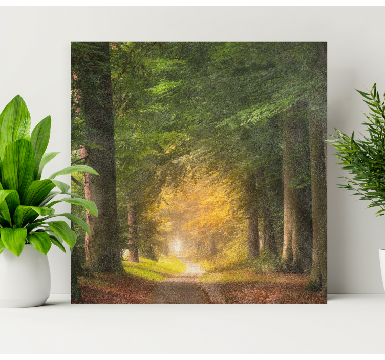 Quadro de paisagem tranquilidade da trilha florestal - TenStickers