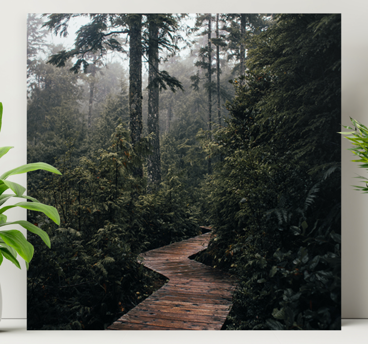 Quadro de árvores Caminho da "natureza" na floresta - TenStickers