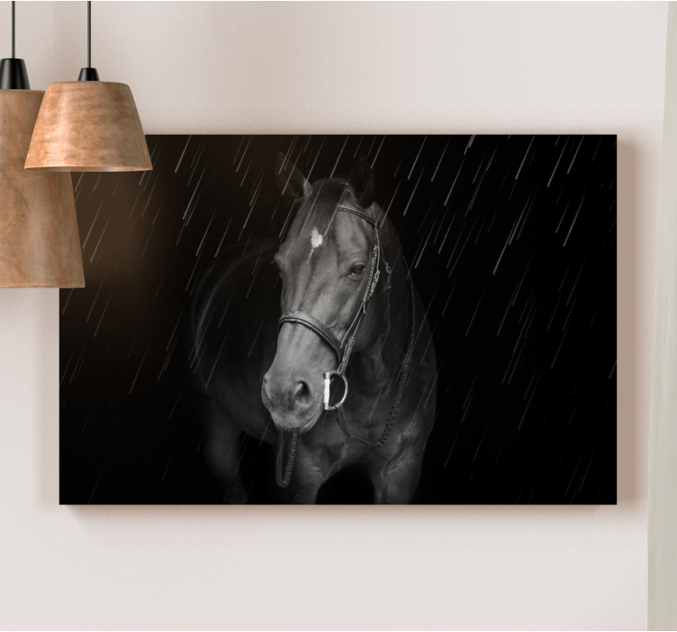 Quadro de cavalos Cavalo digno na chuva - TenStickers