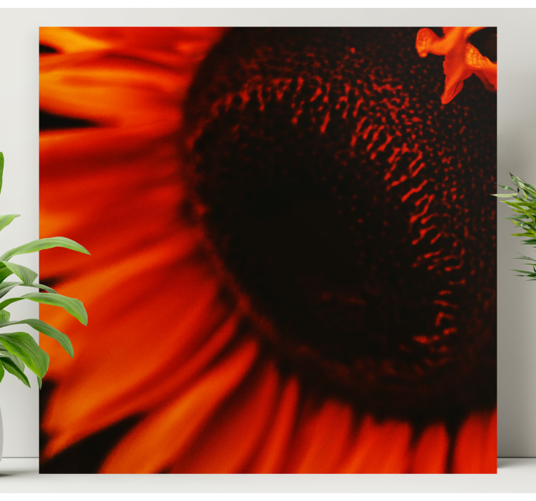 Quadro de flores Girassol laranja - TenStickers