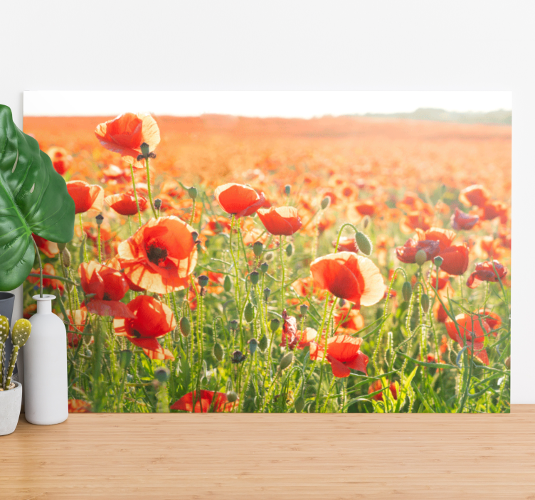 Quadro de flores Papoilas vermelhas em um campo ensolarado - TenStickers