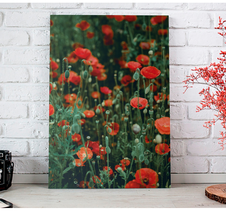 Quadro de flores Papoula e pequenas flores brancas - TenStickers