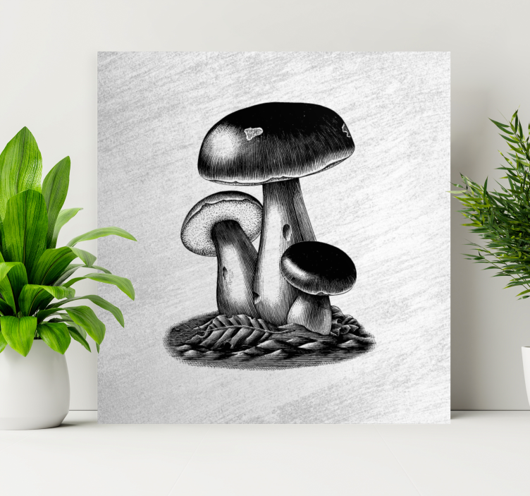 Quadro para cozinha Ilustração de gravura antiga de cogumelos - TenStickers