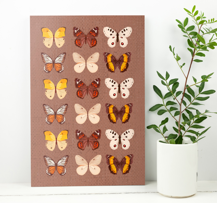 Quadro vintage Borboletas vintage - TenStickers