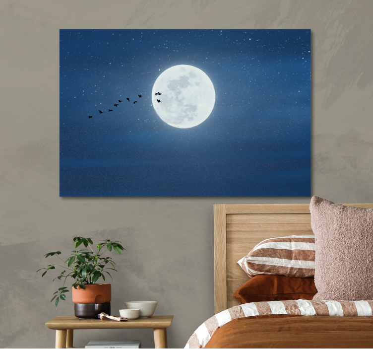 Quadro 3D Lua cheia e céu - TenStickers