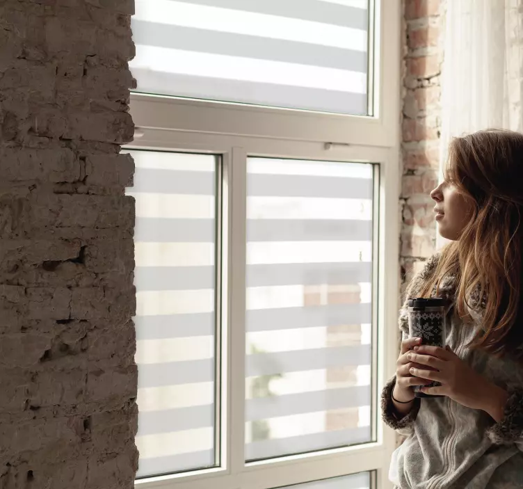 Película de vinil translúcido para janelas Riscas - TenStickers