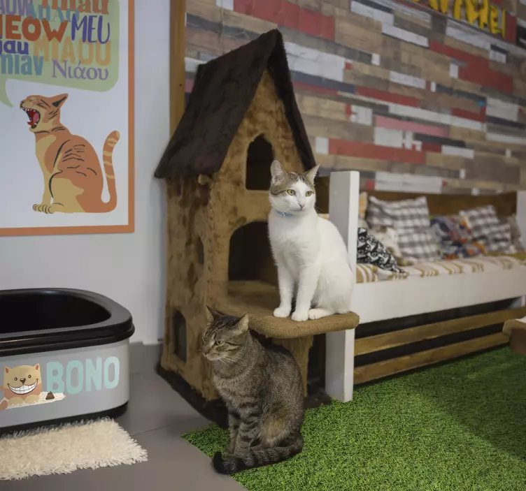 Autocolante com cães e gatos caixa de Areia para Gatos - TenStickers