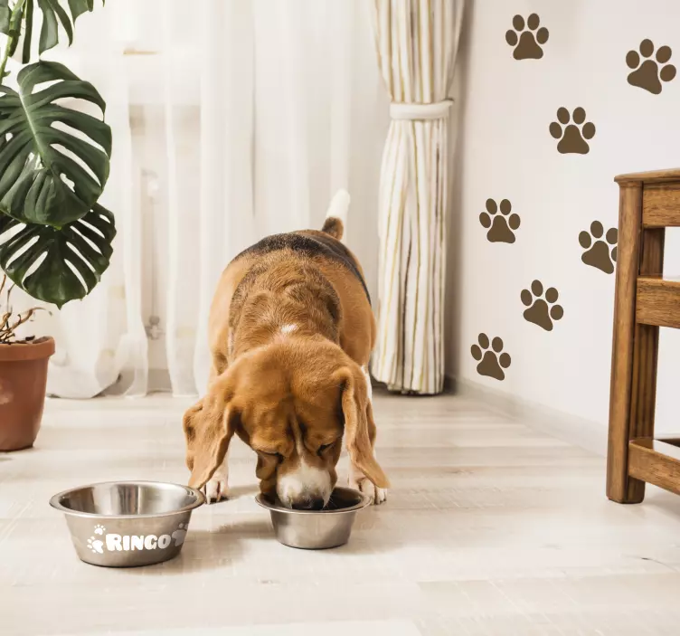 Autocolantes personalizáveis nome de cão - TenStickers