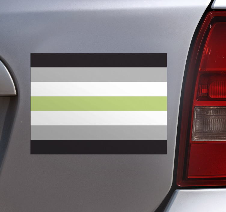 Adesivo para carro bandeira agênero - TenStickers