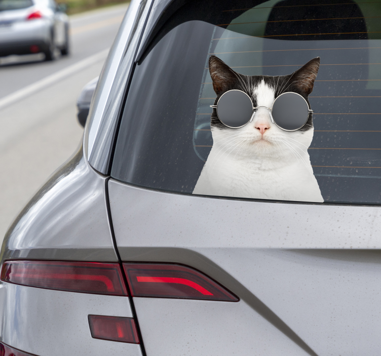 Adesivo para carro gato com óculos de sol - TenStickers