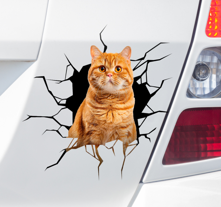 Adesivo para carro gato na toca - TenStickers