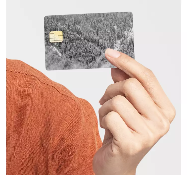 Autocolante cartão de crédito floresta neve - TenStickers