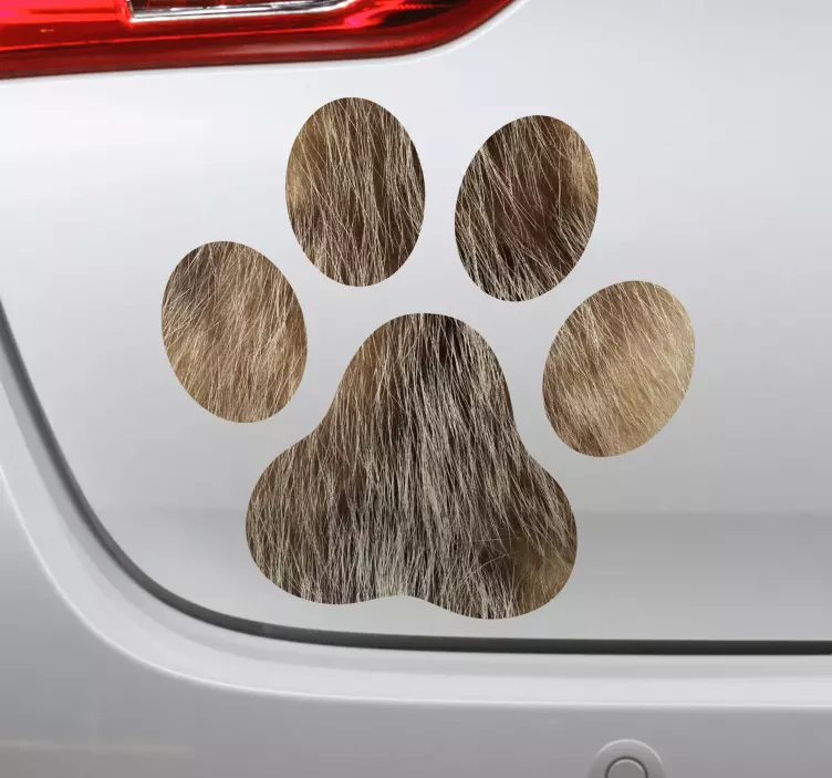 Autocolante para carros Patas de cão - TenStickers