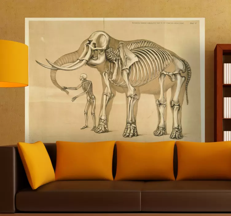Vinil decorativo de esqueleto de homem e elefante - TenStickers
