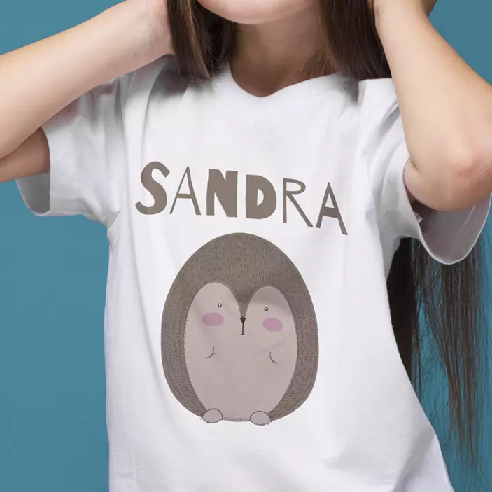 Porco-espinho desenhado com t-shirt com nome - TenStickers