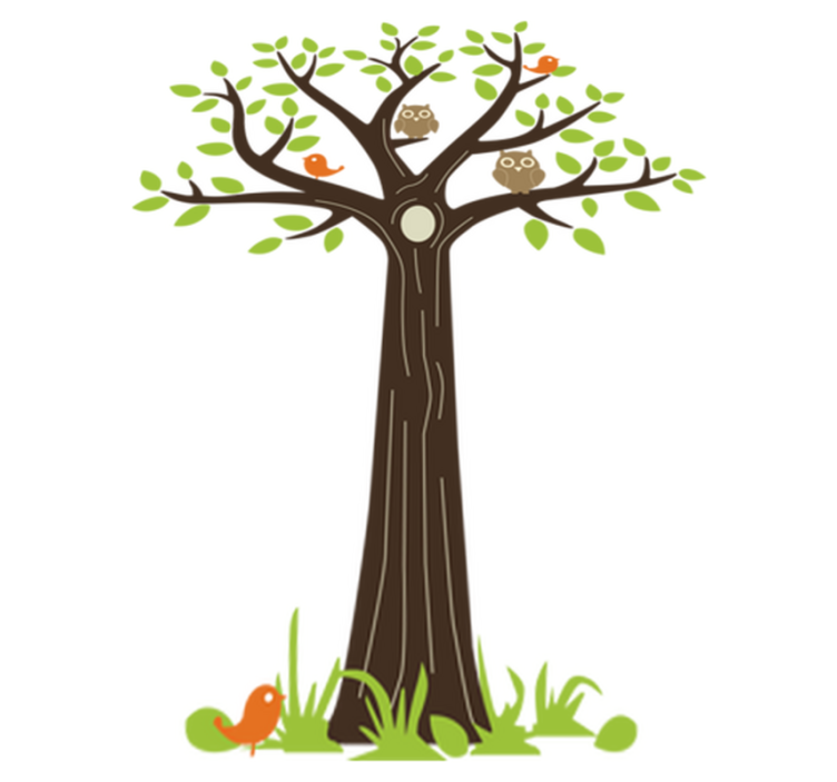 Tapete vinílico flores e plantas corujas e árvores - TenStickers