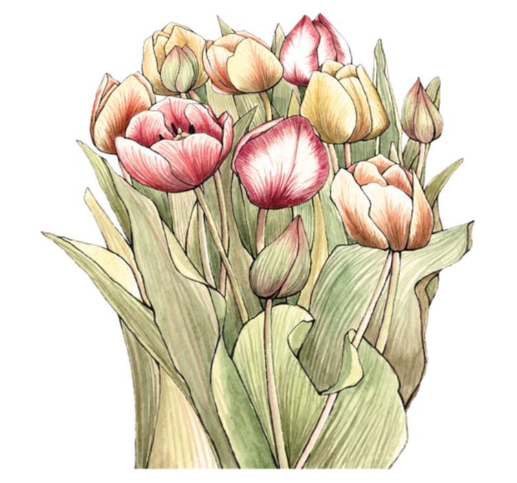 Tapete vinílico flores e plantas buquê colorido de tulipas - TenStickers