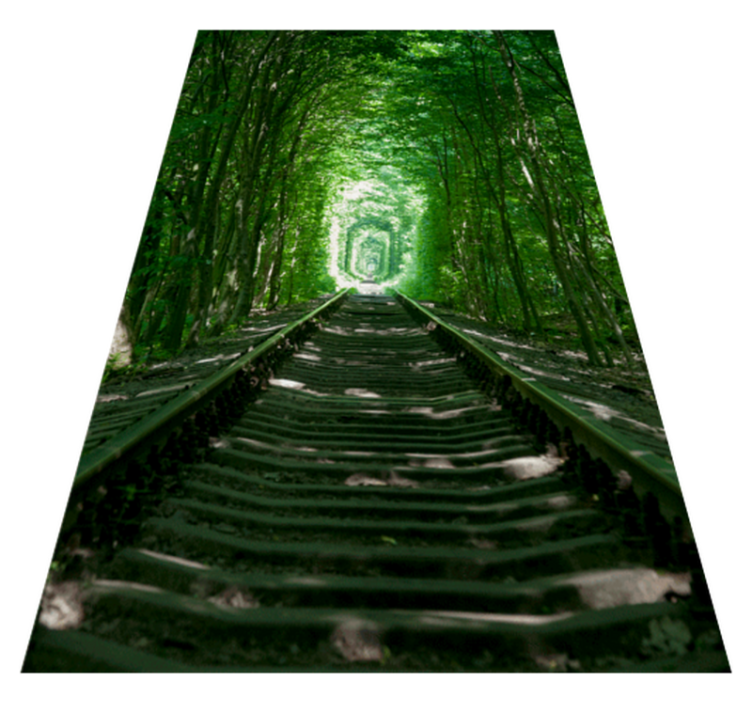 Tapete vinílico flores e plantas caminhos e árvores - TenStickers