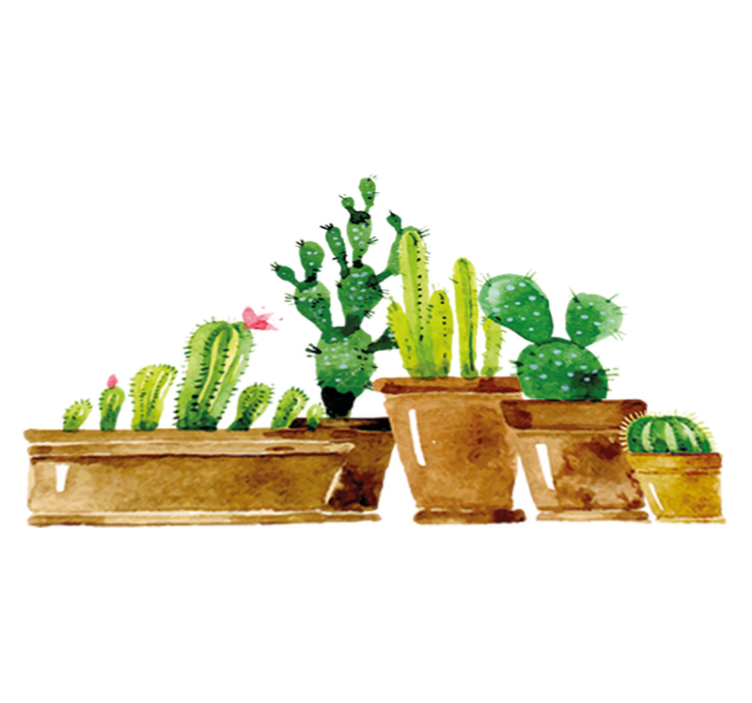 Tapete vinílico flores e plantas jardim de cactos artesanal - TenStickers