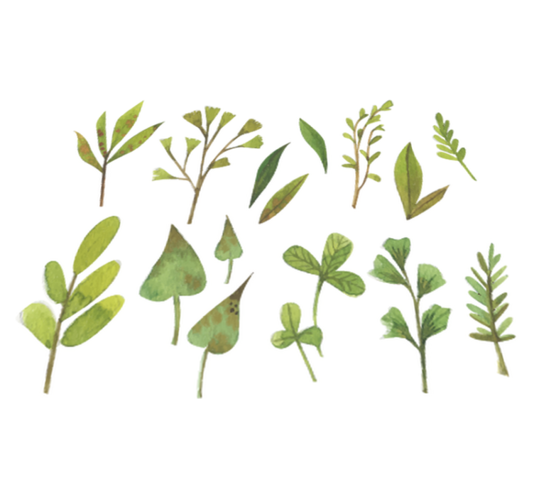 Tapete vinílico flores e plantas folhas pequenas aquarella - TenStickers