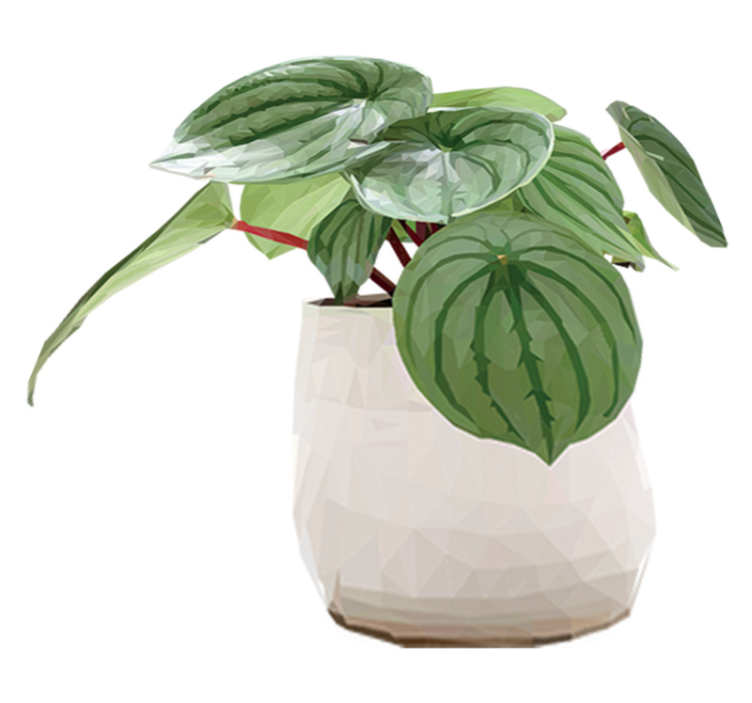 Tapete vinílico flores e plantas simples para casa - TenStickers