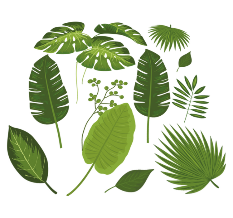 Tapete vinílico flores e plantas variedade de folhas - TenStickers