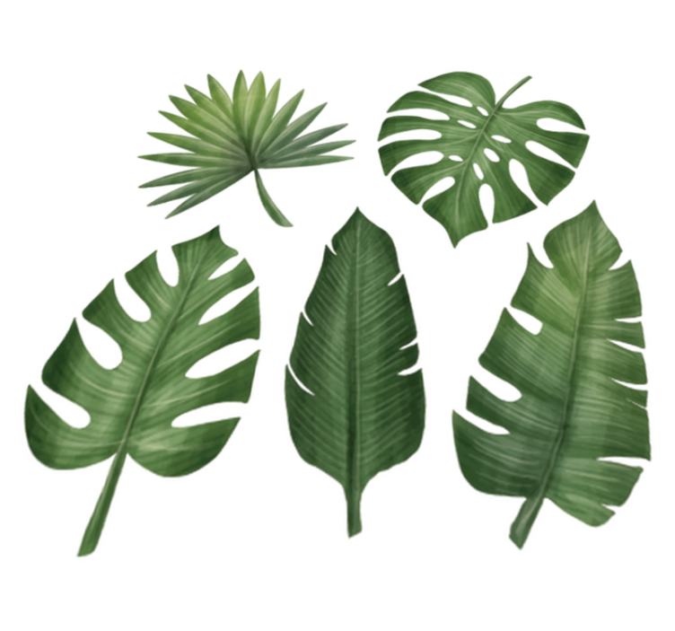 Tapete vinílico flores e plantas folhas verdes grandes - TenStickers