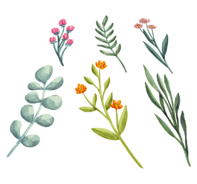 Tapete vinílico flores e plantas ramos de plantas - TenStickers