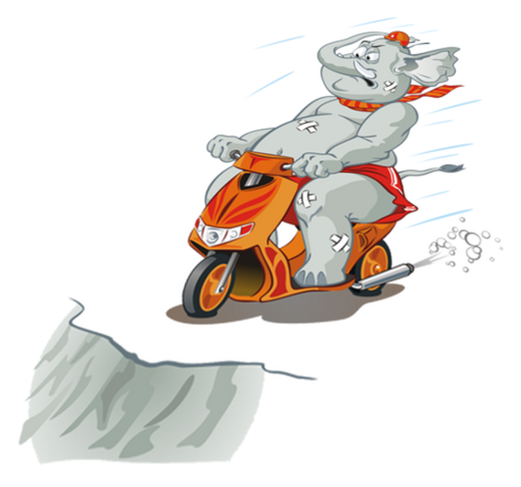 Tapete vinílico criança elefante de moto - TenStickers
