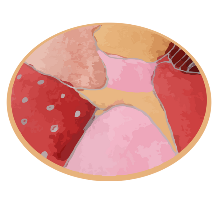 Tapete vinílico hall de entrada motivos florais vibrantes - TenStickers