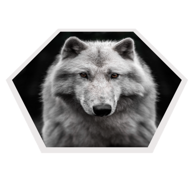 Lobo alfa no tapete animal preto - TenStickers