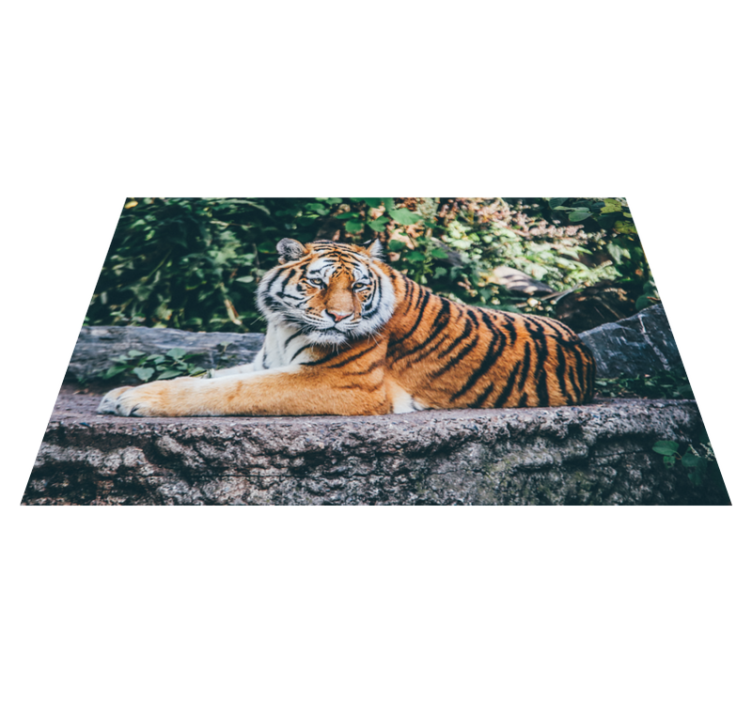 Tapete vinílico para gabinete Animal tigre majestoso - TenStickers