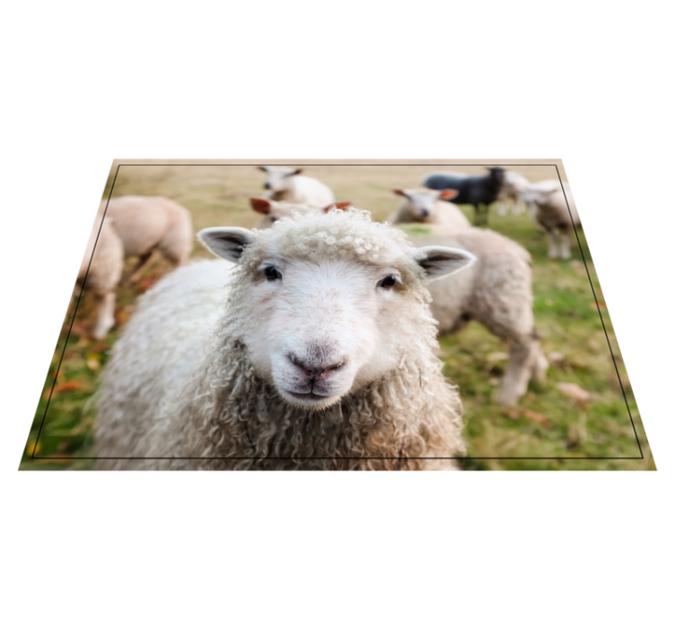 Tapete vinílico para gabinete Ovelha animal - TenStickers