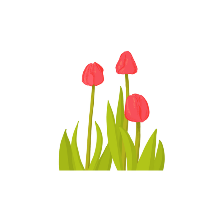 Tapete vinílico flores e plantas flor de tulipa vibrante - TenStickers
