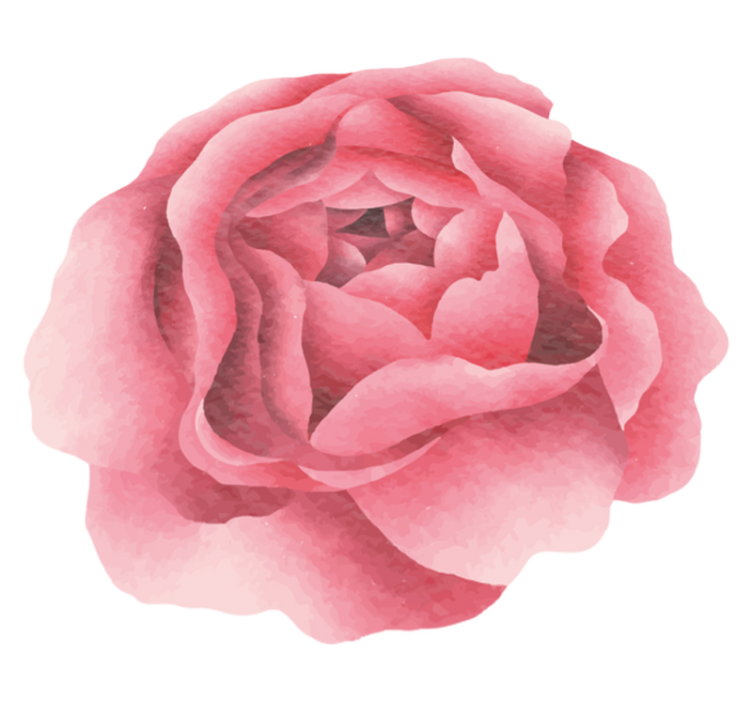 Tapete vinílico flores e plantas flor rosa blush - TenStickers