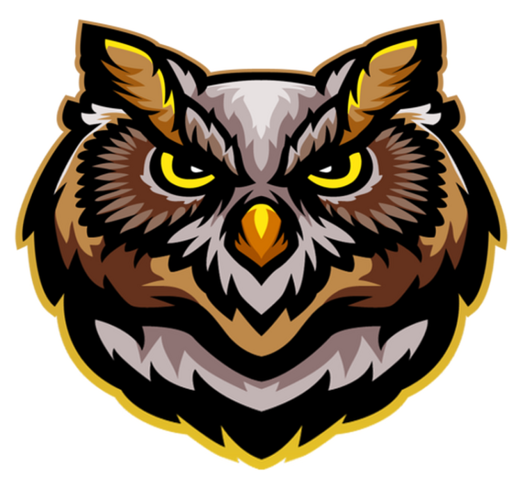 Tapete do quarto com cara de coruja marrom zangada - TenStickers