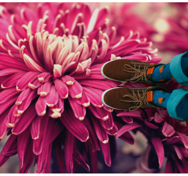 Tapete vinílico flores e plantas crisântemo realista - TenStickers