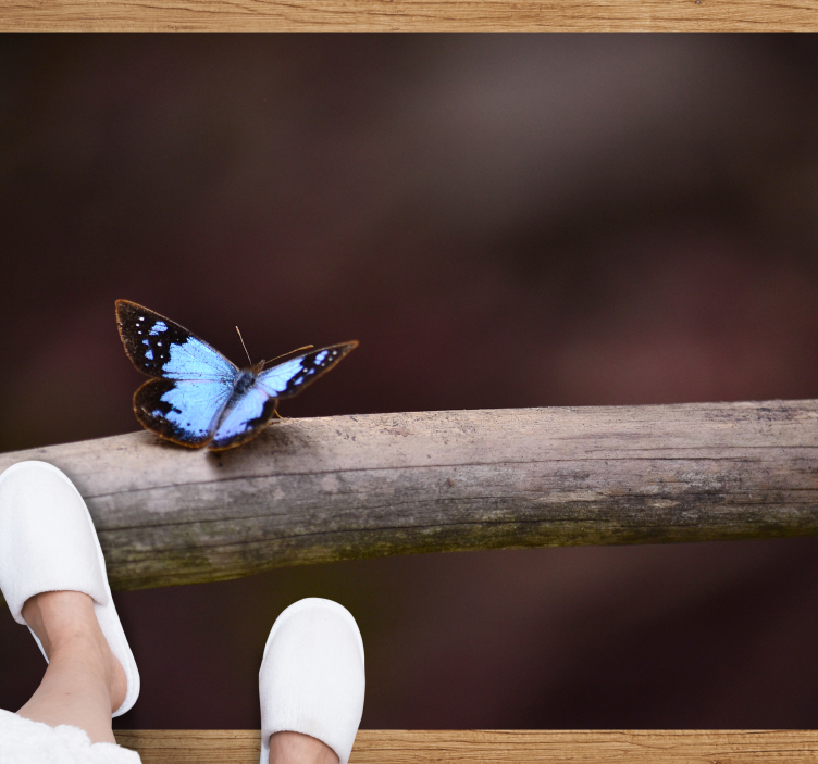 Tapete vinílico natureza borboleta no galho - TenStickers