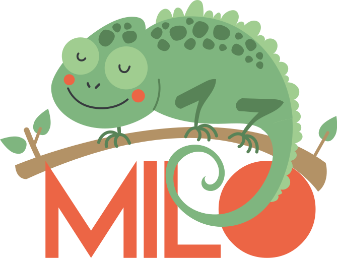 Tapete vinílico de animais camaleão com nome - TenStickers