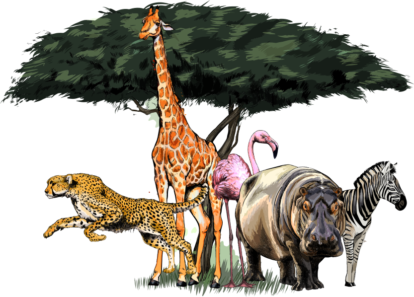 Tapete vinílico de animais safari da família girafa - TenStickers