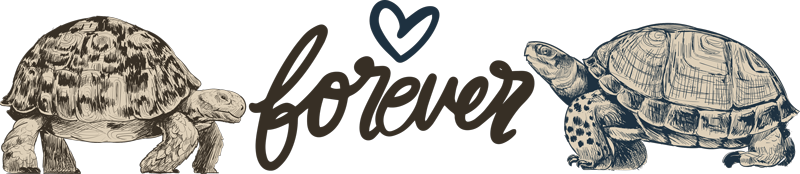 Tapete vinílico de animais tartarugas amam para sempre - TenStickers