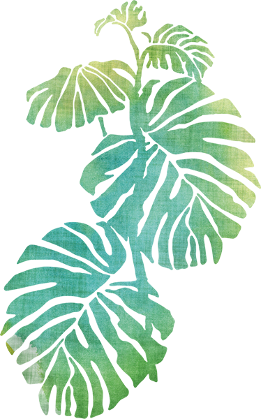 Tapete vinílico flores e plantas aquarella listras adam - TenStickers